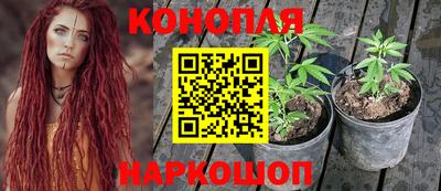 Альфа ПВП Ликино-Дулёво