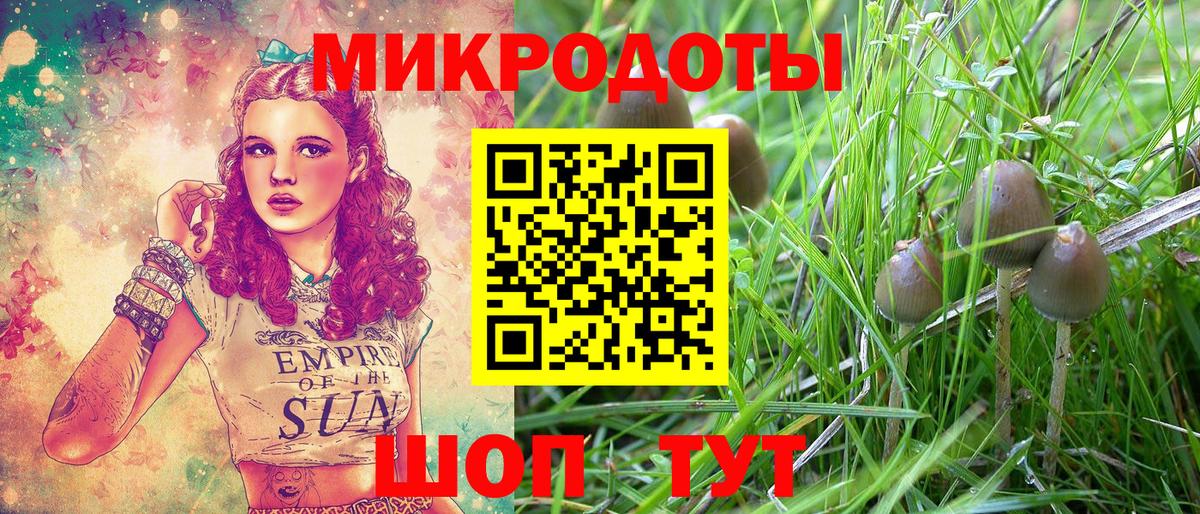 Псилоцибиновые грибы Psilocybe Чебоксары