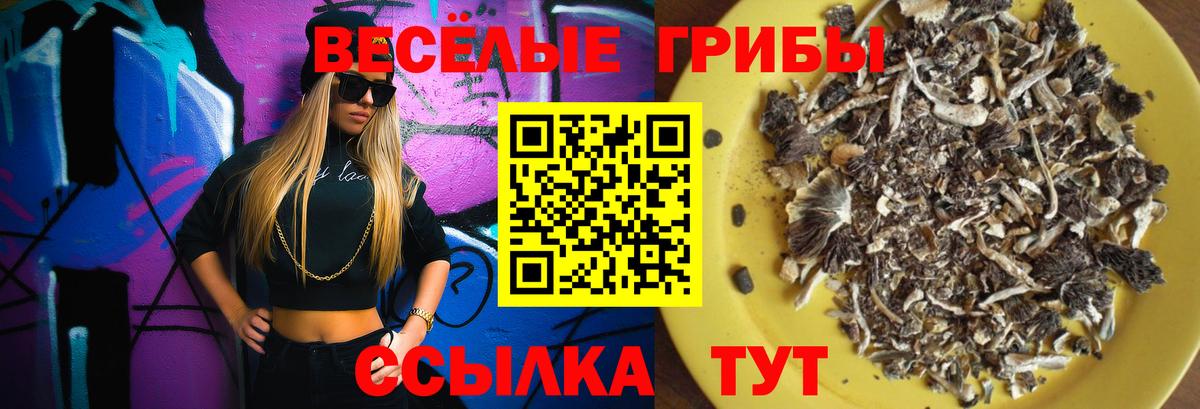 Псилоцибиновые грибы GOLDEN TEACHER  Вход с VPN  Чебоксары 